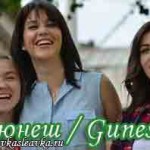 Дочери Гюнеш — сериал Турецкие сериалы
