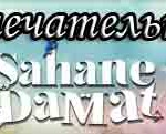 Замечательный зять / Sahane Damat Турецкие сериалы