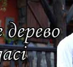Турецкий сериал — Лимонное дерево Турецкие сериалы
